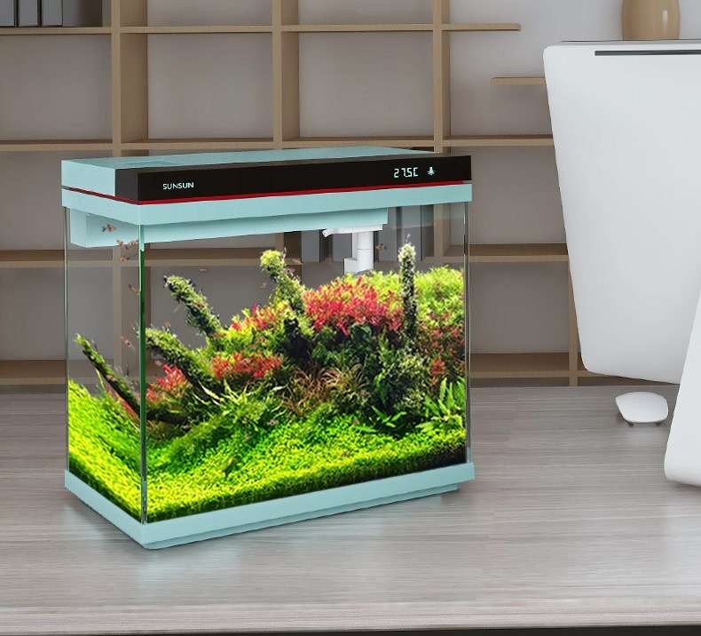What are the best practices for feeding fish in aquarium big fish tanks to promote health and growth?