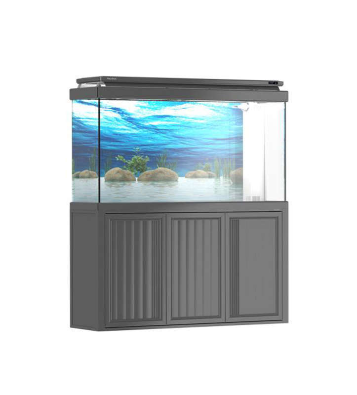 What Are the Common Problems in Aquarium Fish Tanks and How to Prevent Them?
