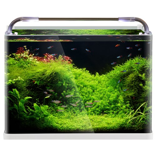 Aquarium Big Fish Tanks: How to choose the right size and material?